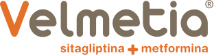Logo Velmetia